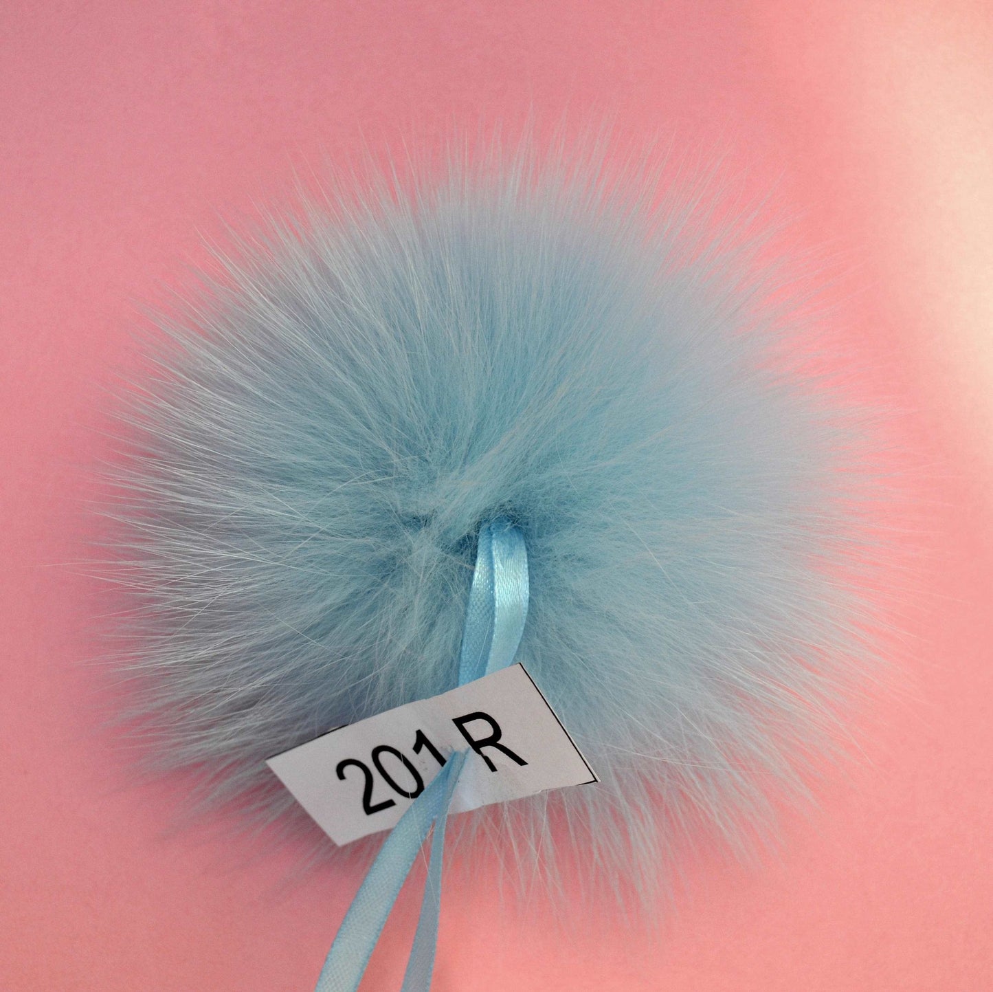 fox pom pom