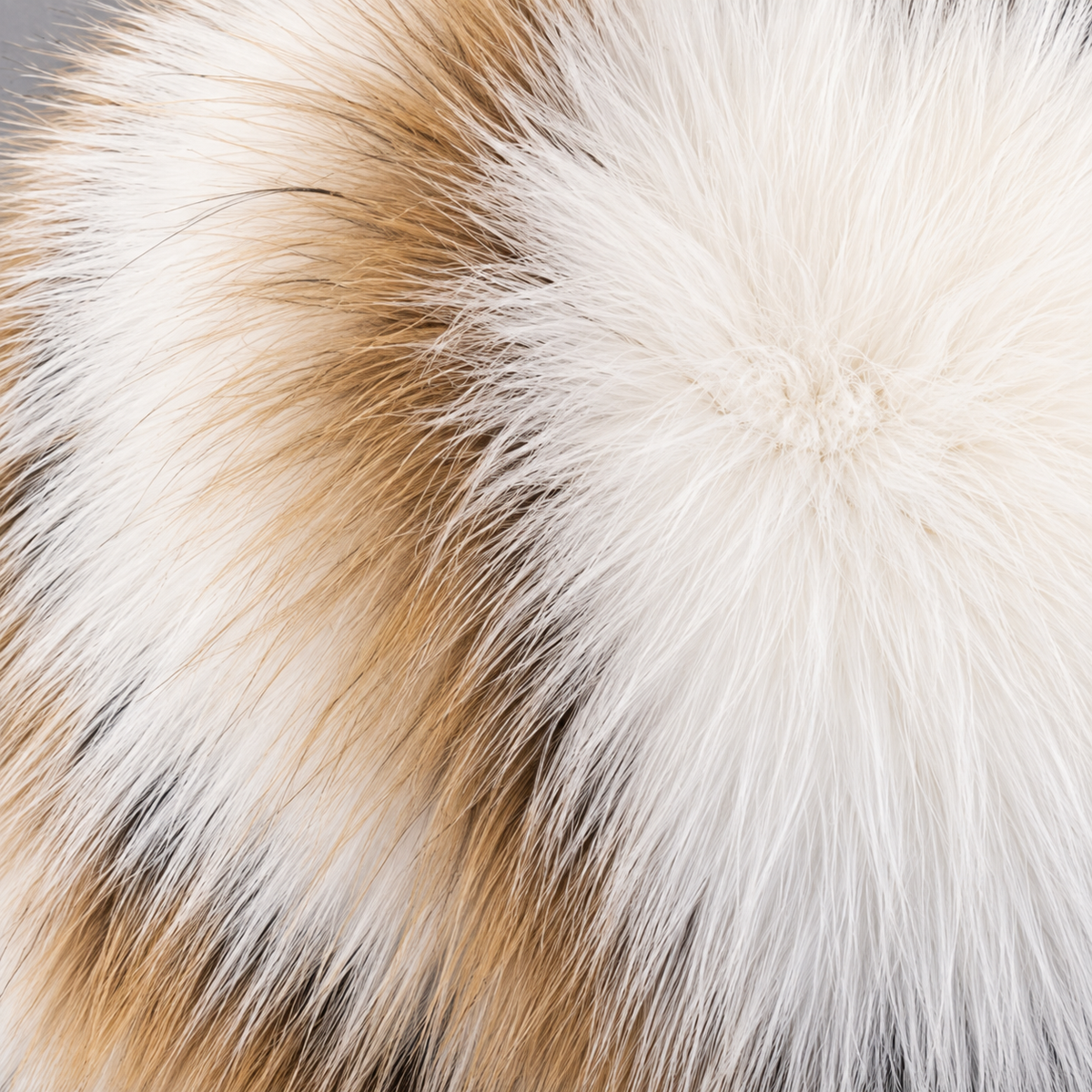 Wide real fox fur hood trim – genuine fur collar replacement – alternate view