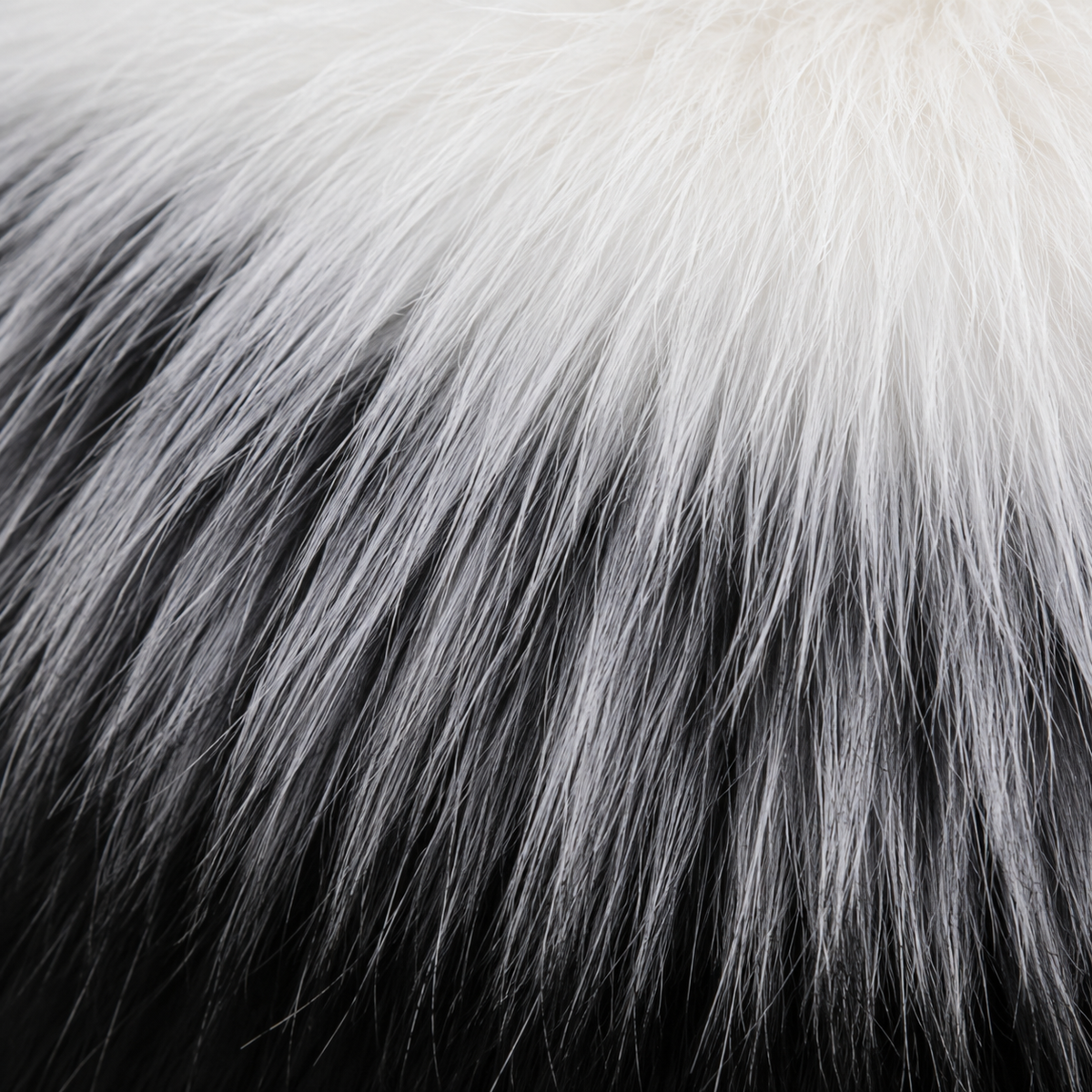 Luxury real fox fur hood trim – wide fur collar for winter coat – detail view