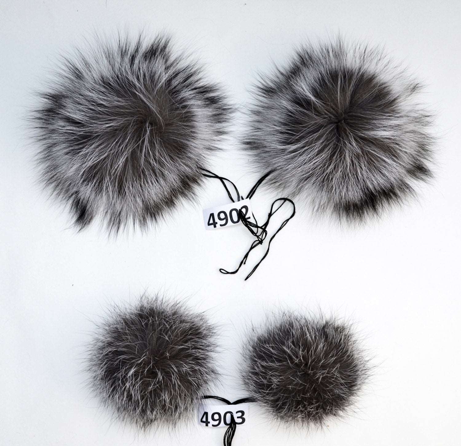 fox pom pom