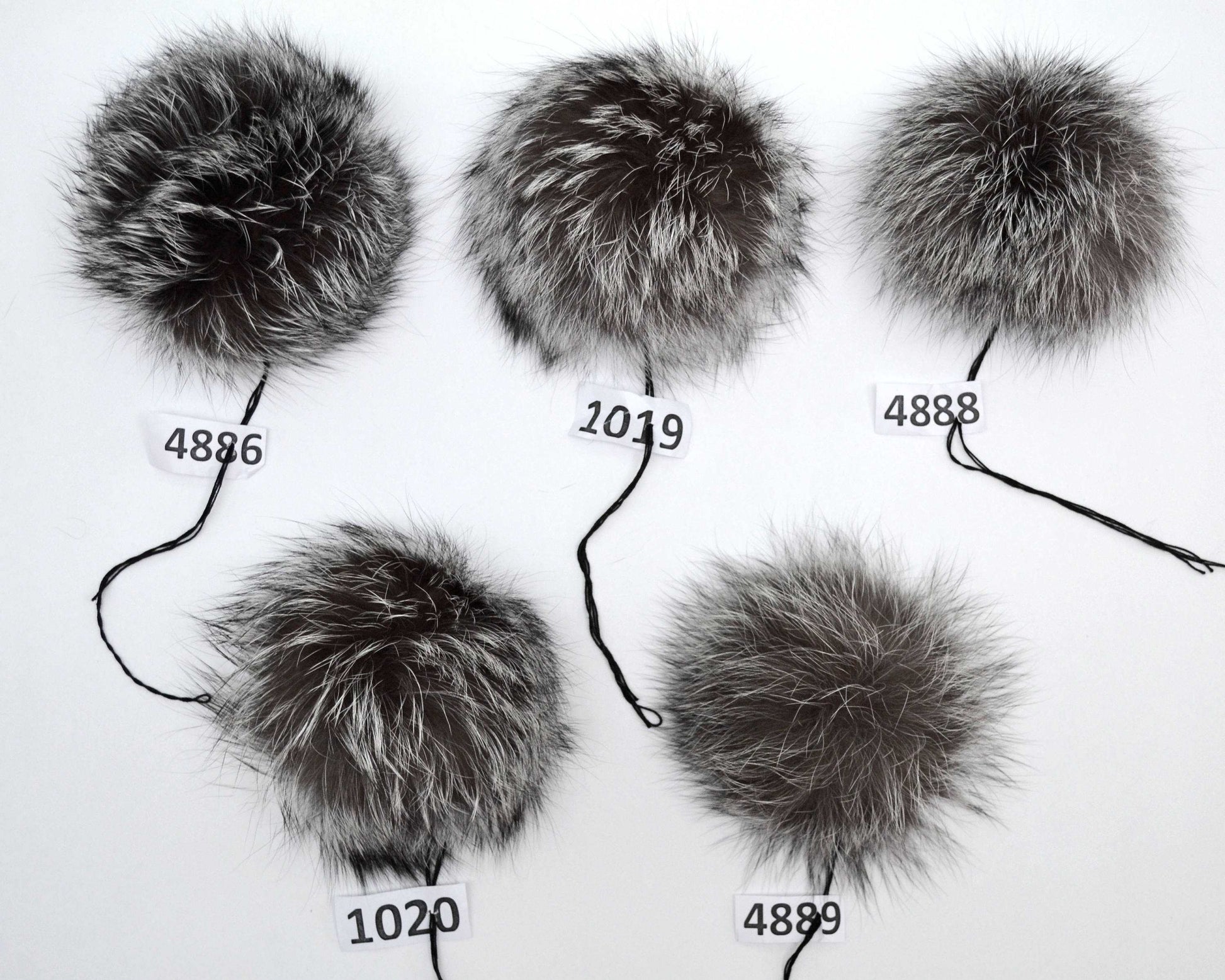 silver fox pom pom