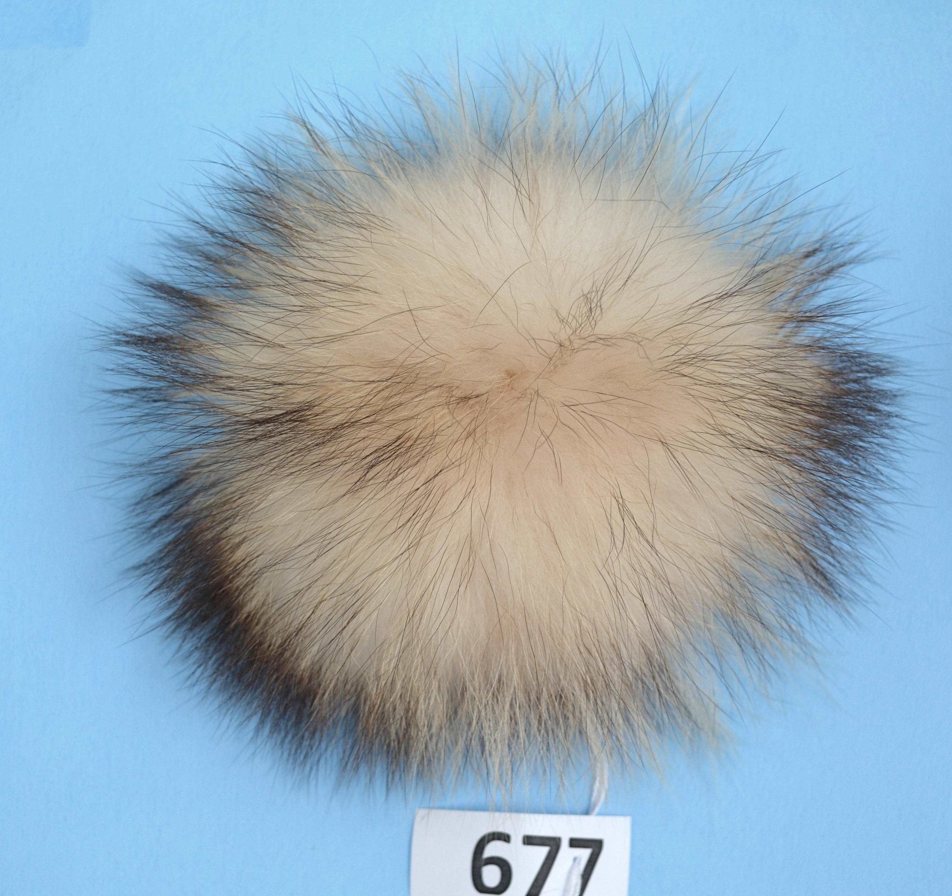 7-9" EXTRA LARGE WHITE Pom Poms with dark tips! Fur Pom Pom Double Raccoon Cream Pom Pom Chunky Hat Beanie Tuque Knit Hat Puff Fur Ball