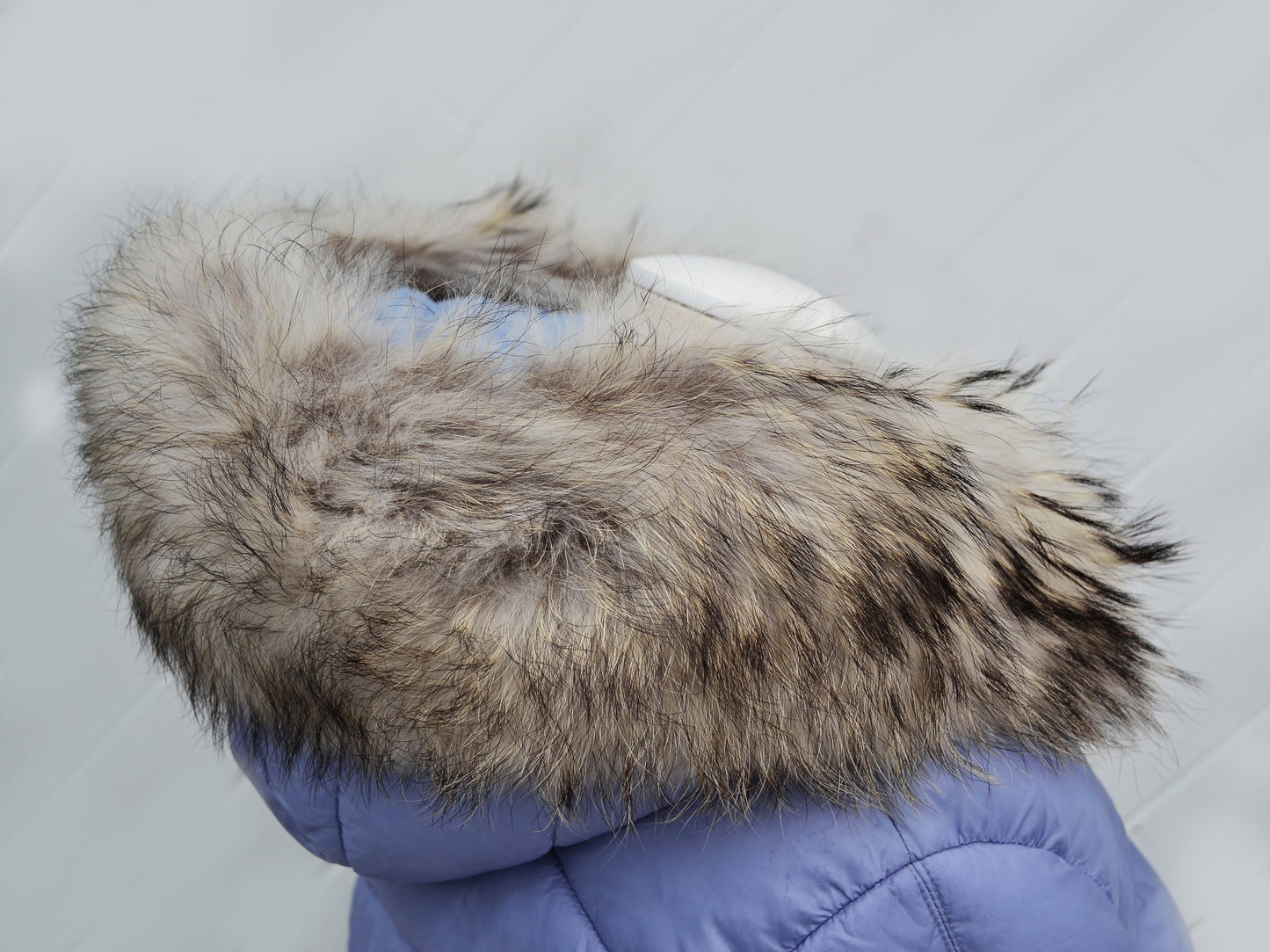 BY ORDER XL Real Raccoon Fur Collar, Fur Trim for Hoodies, Light Raccoon Fur Collar, Fur Scarf, Fur Ruff, Raccoon Fur Hood, Raccoon Fur