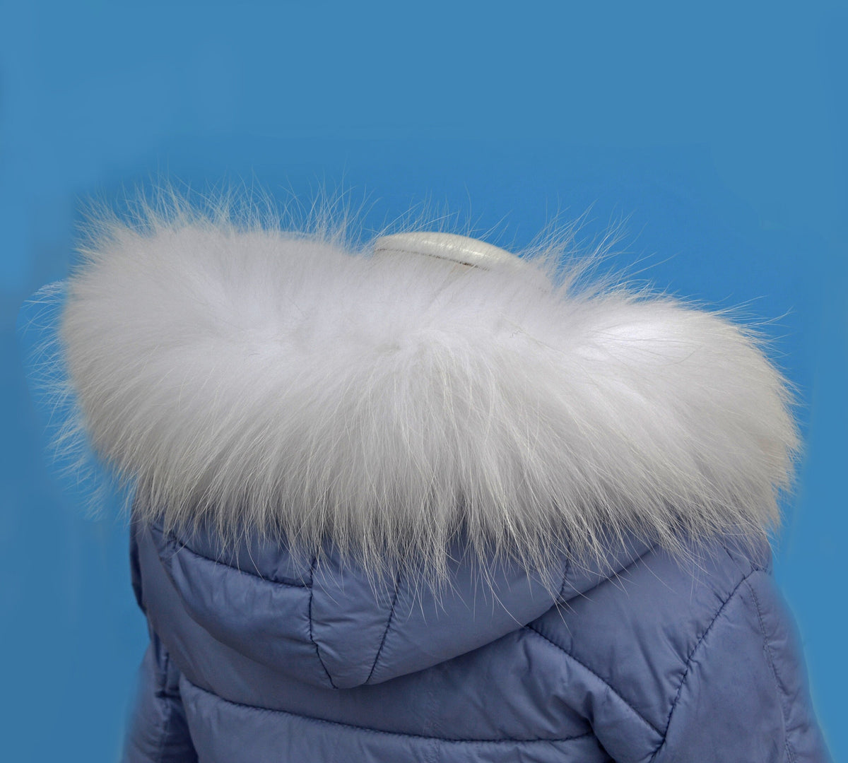 Finnish raccoon fur hood trim cut from genuine Finnish raccoon pelt – size S – view 2