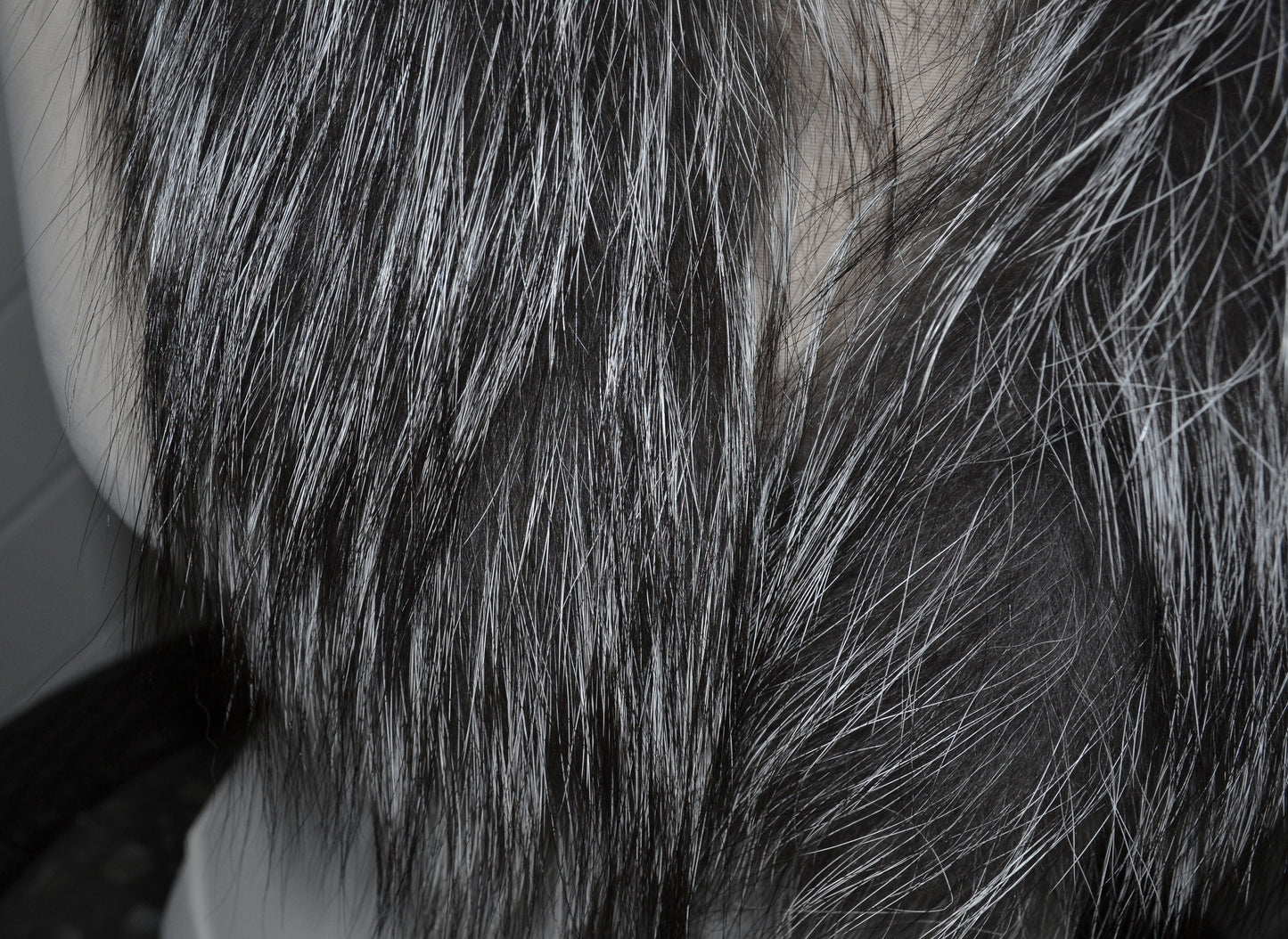 BY ORDER, Real Silver Fox Fur Trim Hood, Fur collar trim, Fox Fur Collar, Fur Scarf, Fur Ruff, Fox Fur Hood, Fox Fur stripe Coat 80x3 cm