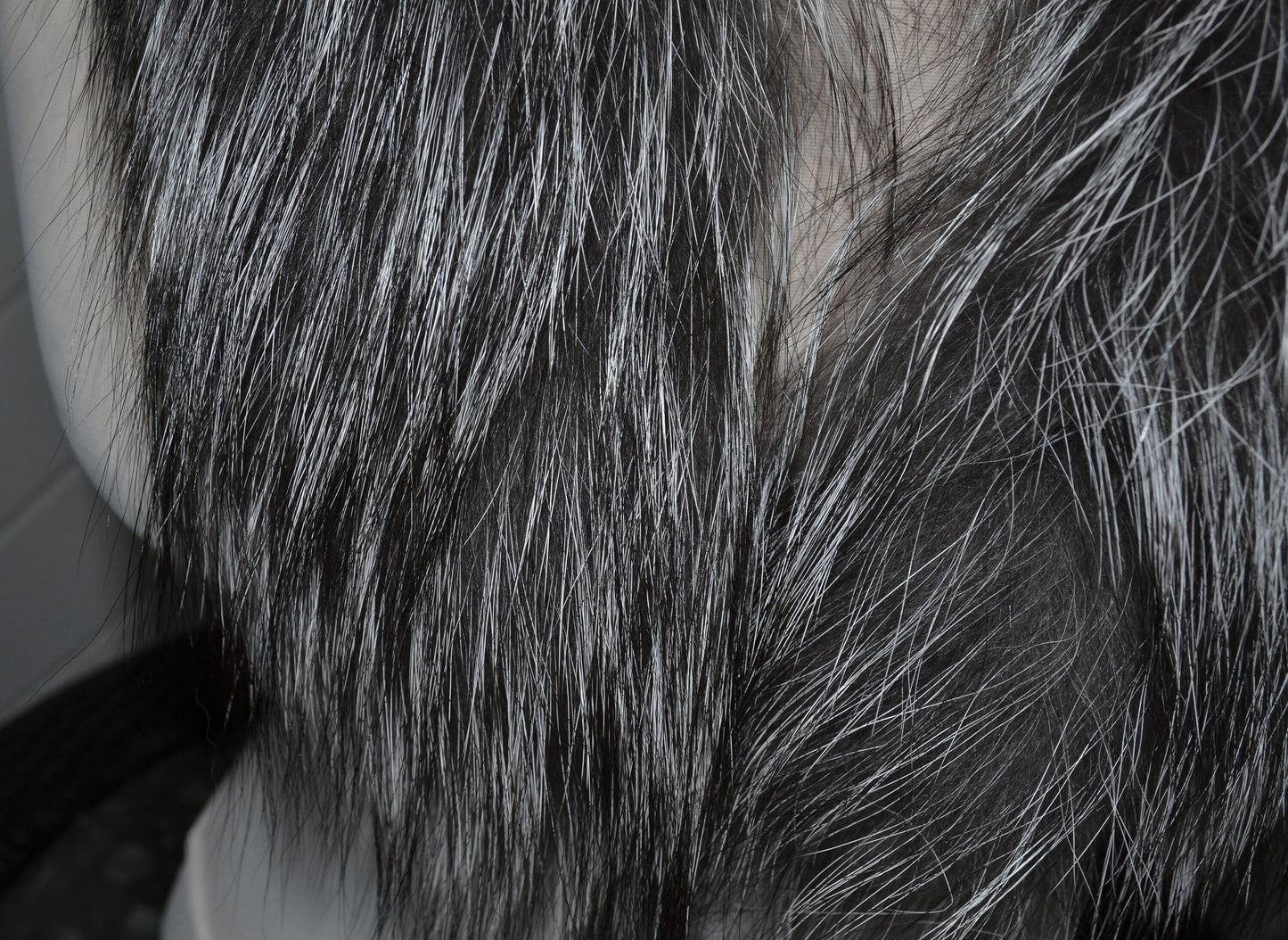 BY ORDER, Real Silver Fox Fur Trim Hood, Fur collar trim, Fox Fur Collar, Fur Scarf, Fur Ruff, Fox Fur Hood, Fox Fur stripe Coat 80x3 cm
