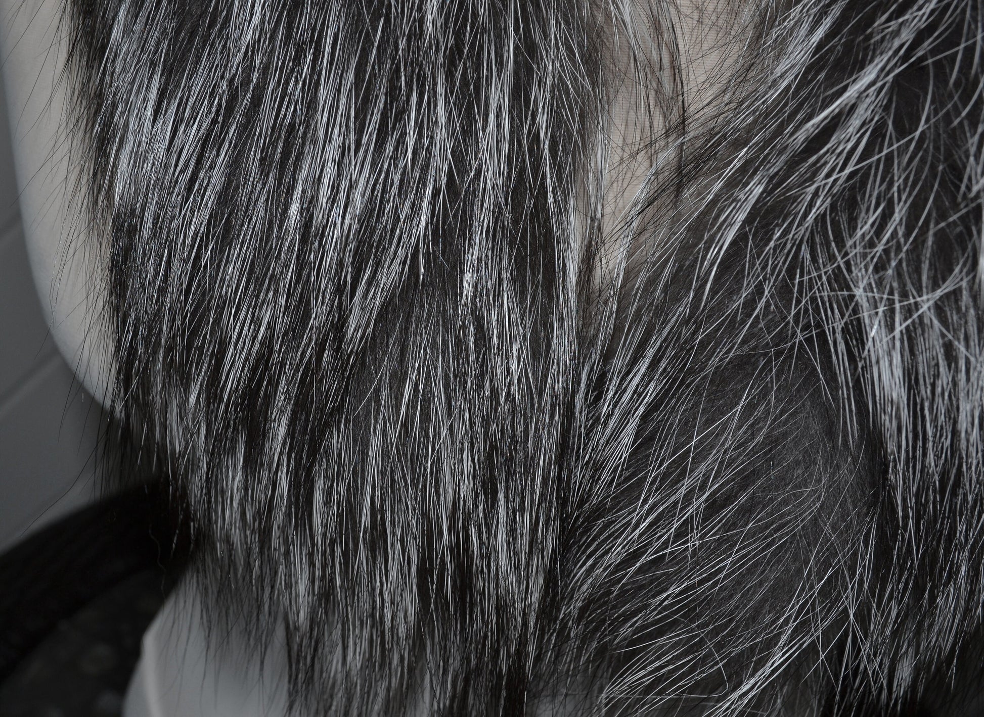 BY ORDER, Real Silver Fox Fur Trim Hood, Fur collar trim, Fox Fur Collar, Fur Scarf, Fur Ruff, Fox Fur Hood, Fox Fur stripe Coat 80x3 cm