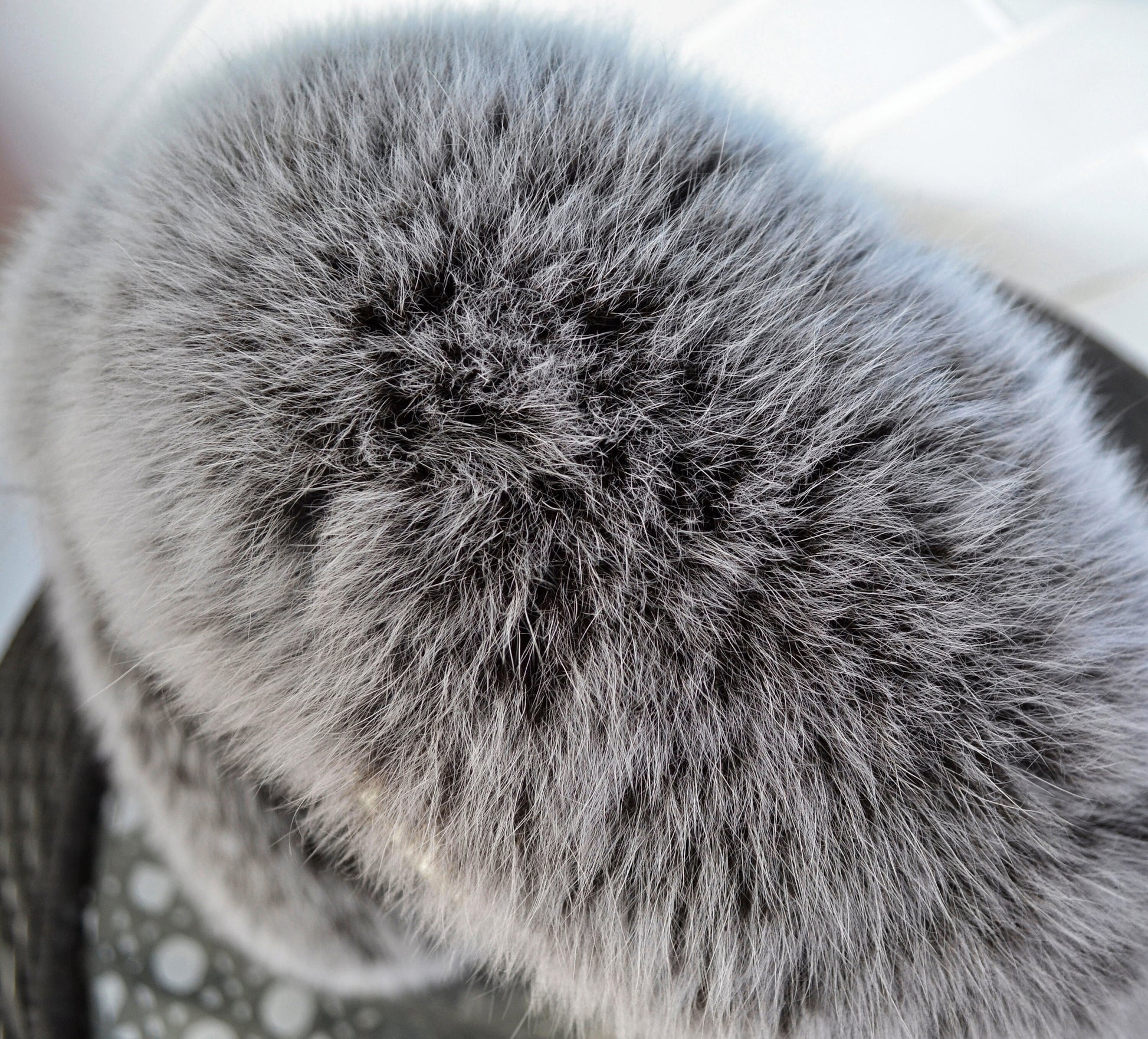 BY ORDER (not Tail) XL Extra Large Real Fox Fur Trim Hood, Fur collar trim, Fox Fur Collar, Fur Scarf, Fur Ruff, Fox Fur Hood, Jacket