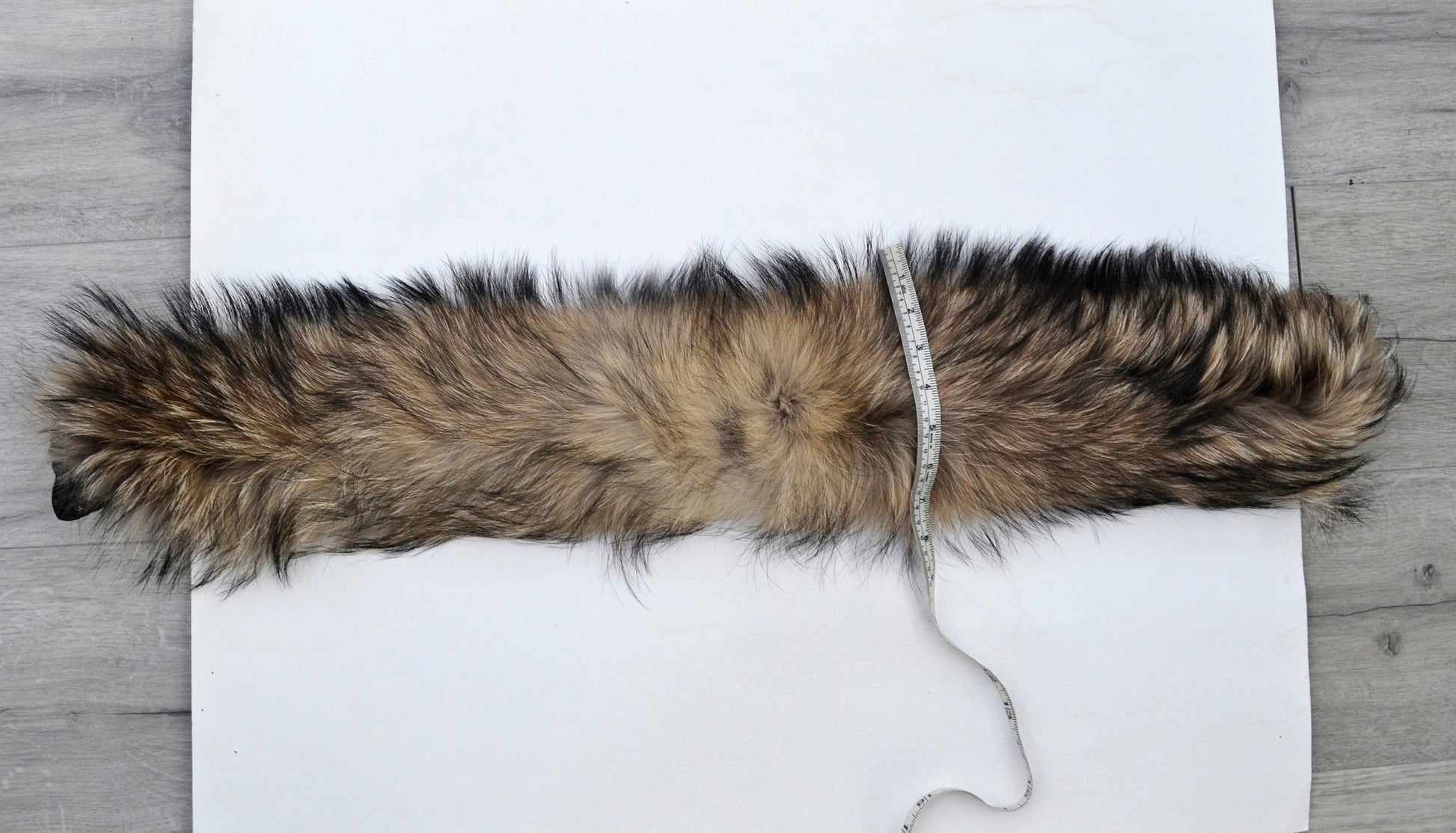 Natural Brown Finnish raccoon fur hood trim cut from genuine Finnish raccoon pelt – size XL – view 5