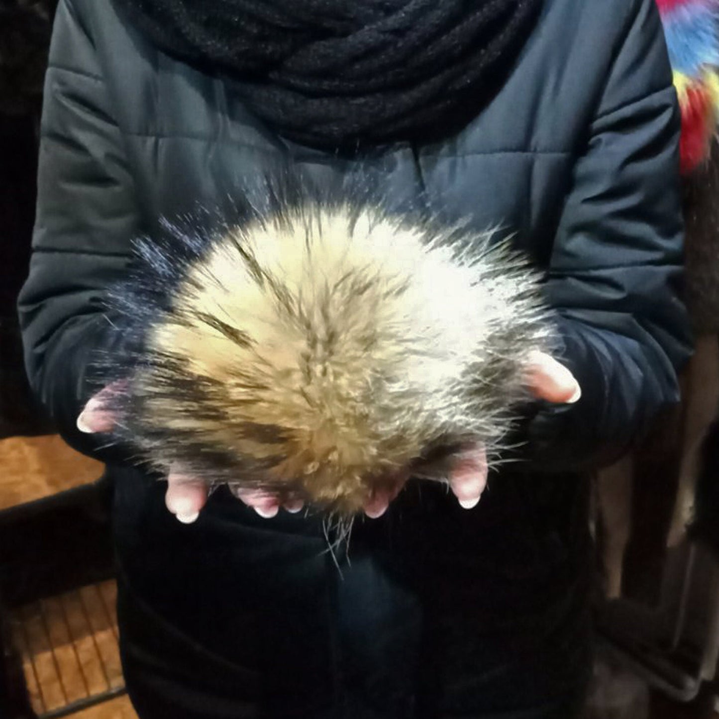 BY ORDER 8" Extra Large Fur Pom Pom Real Fur Pom Pom Raccoon Pom Pom for Chunky Hat Beanie Tuque Winter Knit Puff Fluffy Fur Ball