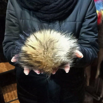 Natural Raccoon Giant Fur Pom Pom – genuine raccoon fur – image 5