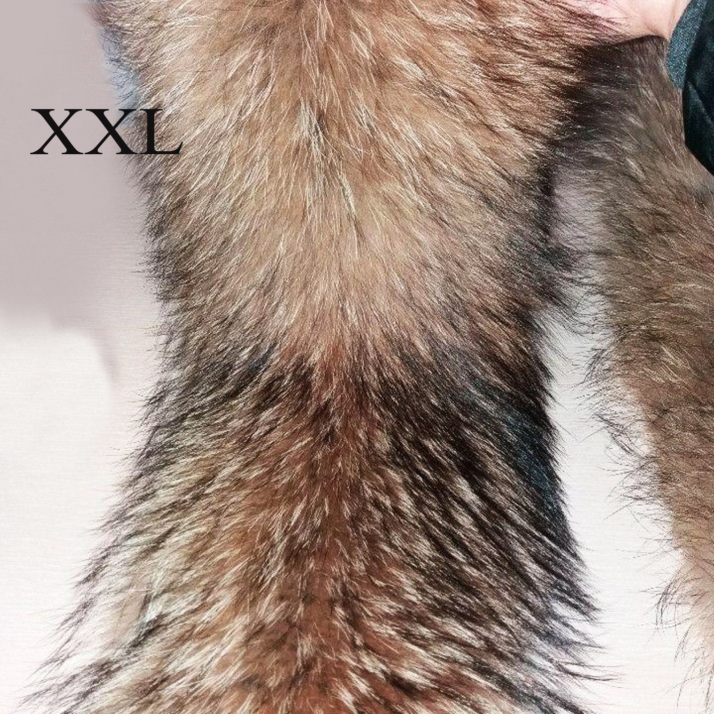 BY ORDER XXL Extra Large Finnish Raccoon Fur Collar, Fur Trim Hoodie, Raccoon Fur Collar, Fur Scarf, Fur Ruff, Raccoon Fur Hood, Super Large
