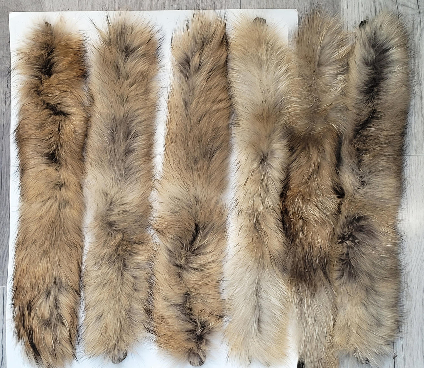 BY ORDER 60x2 cm Real Raccoon Fur Collar, Fur Trim for Hoodies, Raccoon Fur Collar, Fur Scarf, Fur Ruff, Raccoon Fur Hood, Raccoon Fur