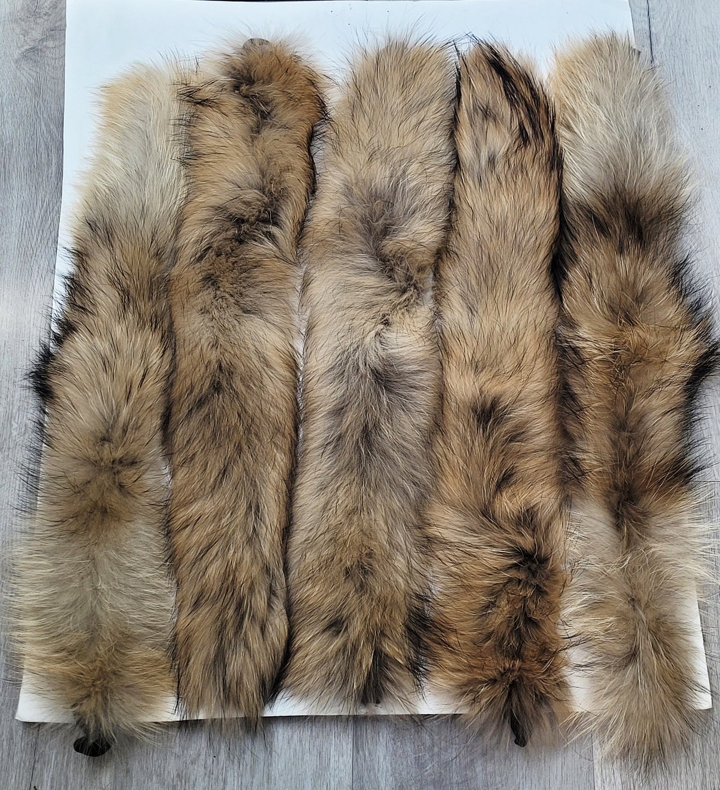 BY ORDER 60x2 cm Real Raccoon Fur Collar, Fur Trim for Hoodies, Raccoon Fur Collar, Fur Scarf, Fur Ruff, Raccoon Fur Hood, Raccoon Fur
