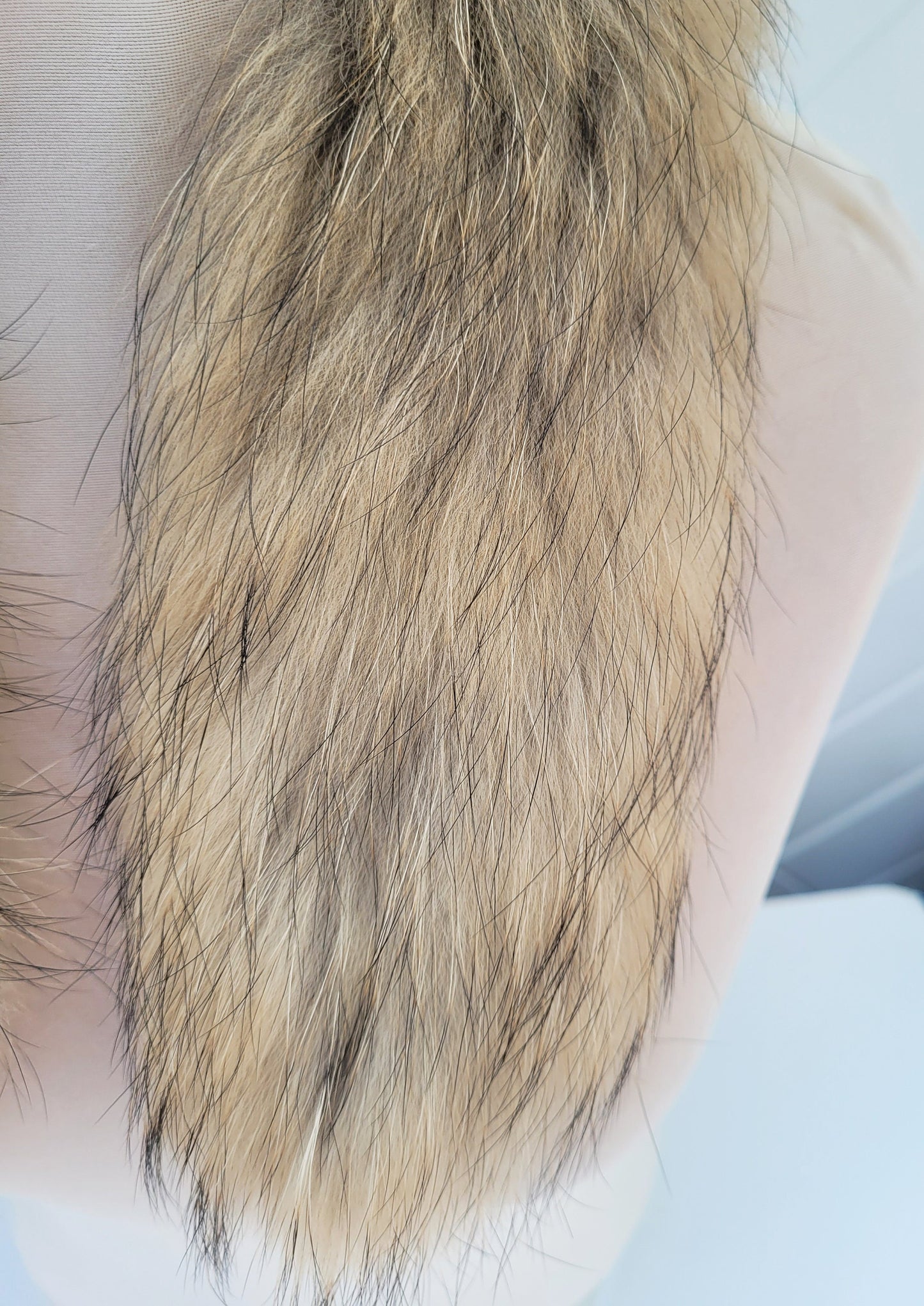 BY ORDER 60x2 cm Real Raccoon Fur Collar, Fur Trim for Hoodies, Raccoon Fur Collar, Fur Scarf, Fur Ruff, Raccoon Fur Hood, Raccoon Fur