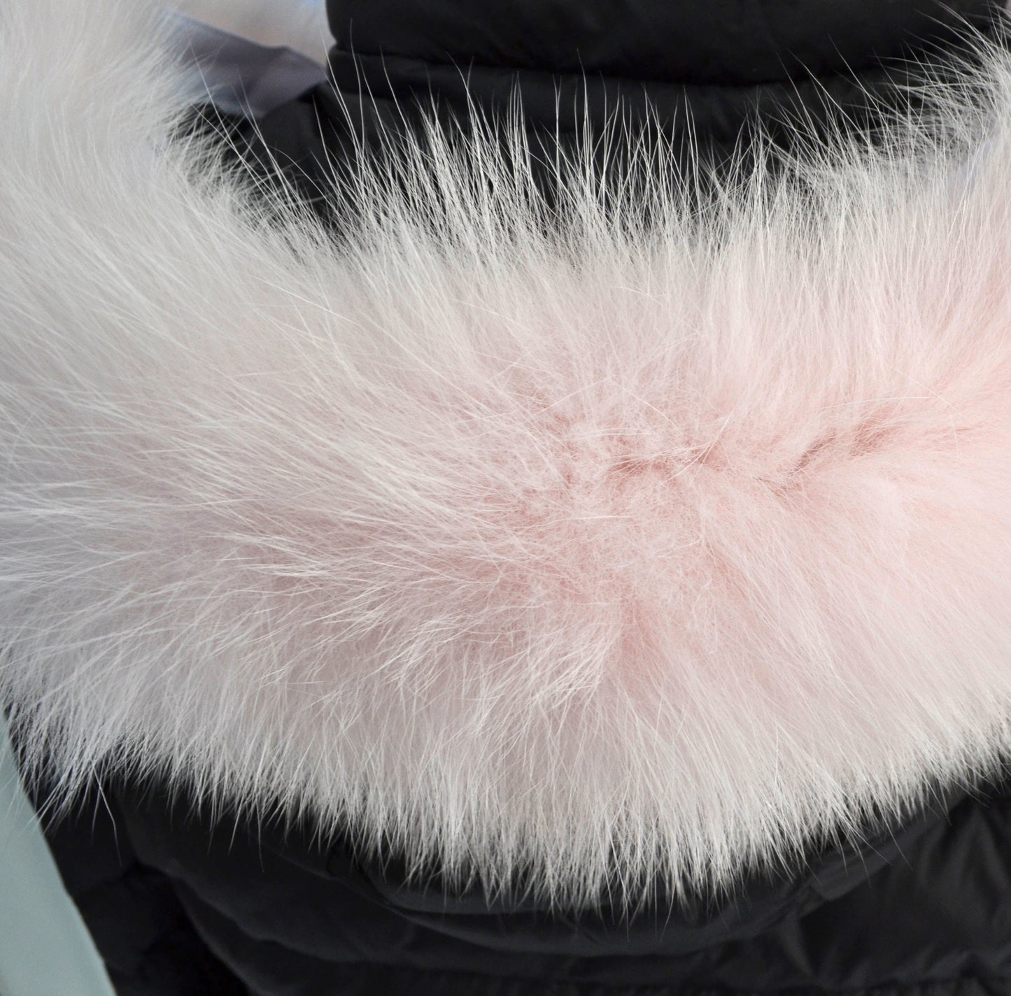READY to SHIP From Pieces! XL Large Full Finnish Real Fox Fur Collar, Fur Trim for Hoodie, Fox Fur Collar, Fur Scarf, Fur Ruff, Pink Fox