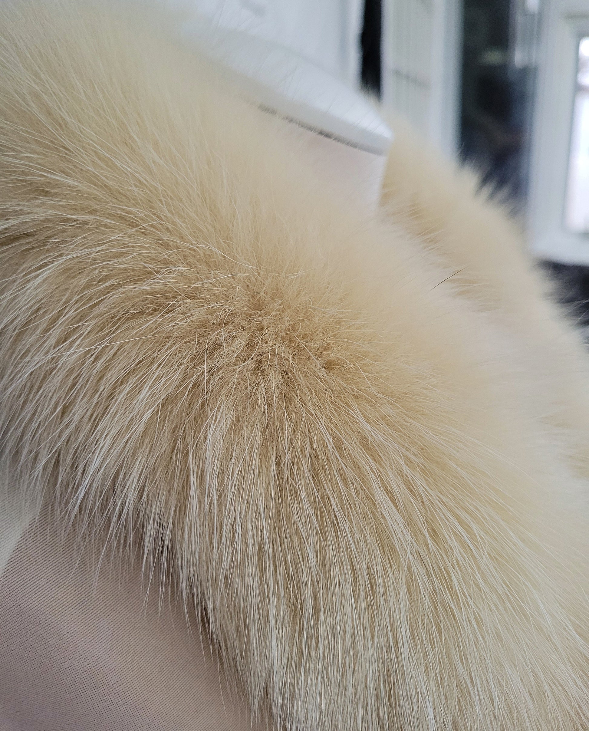READY to SHIP From Pieces! XL Large Full Finnish Real Fox Fur Collar, Fox Fur Collar, Fur Trim for Hoodie, Fur Scarf, Fur Ruff, Beige Fox