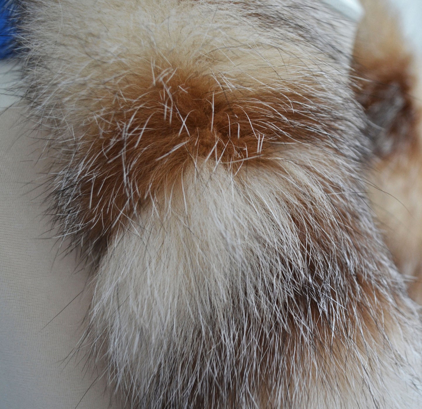 BY ORDER From Pieces! XL Large Full Finnish Real Fox Fur Collar, Fox Fur Collar, Fur Trim for Hoodie, Fur Scarf, Fur Ruff, Beige Fox