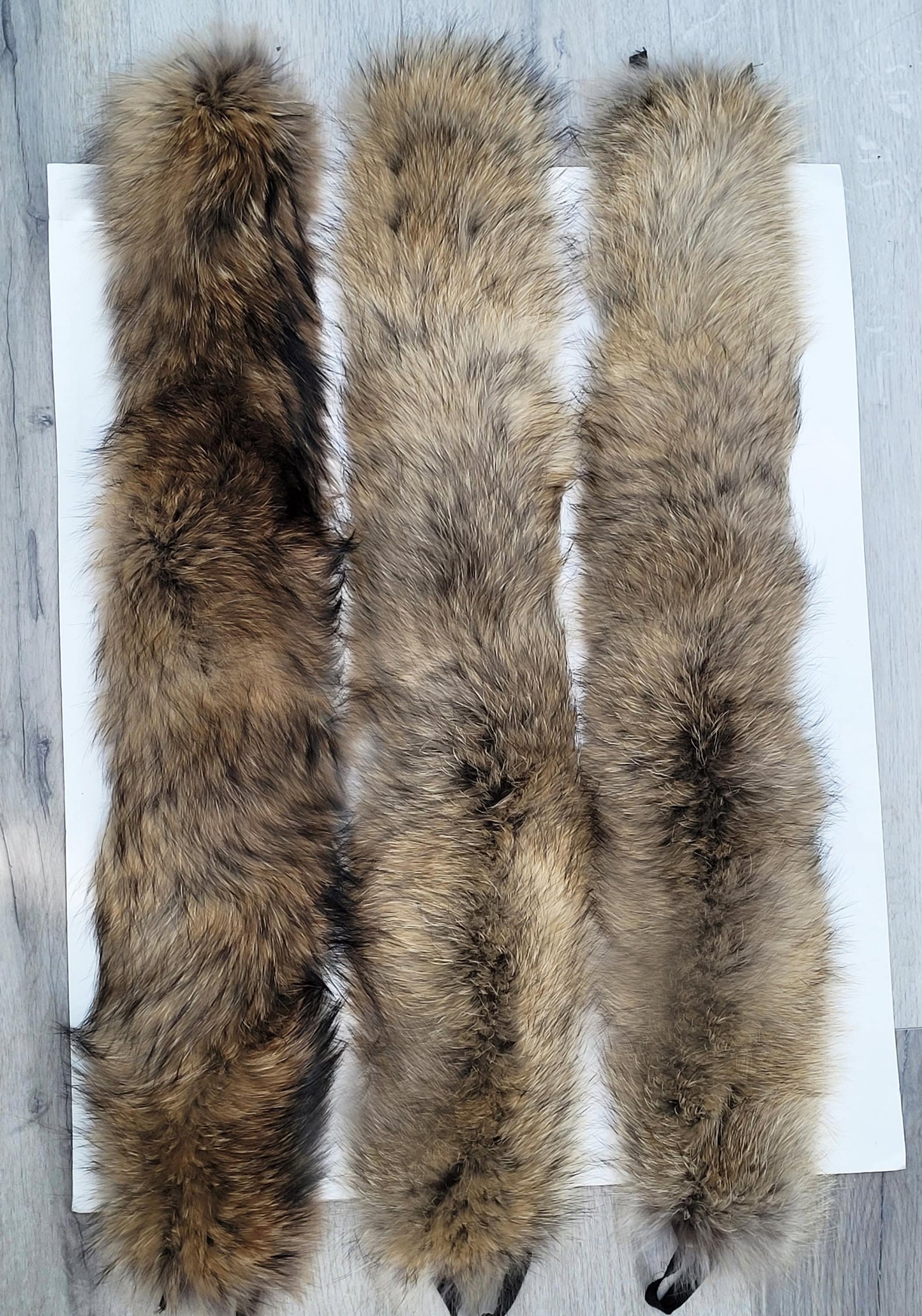 BY ORDER XL Large Full Finnish Real Raccoon Fur Collar, Fur Trim for Hoodie, Raccoon Fur Collar, Fur Scarf, Fur Ruff, Raccoon Fur Hood