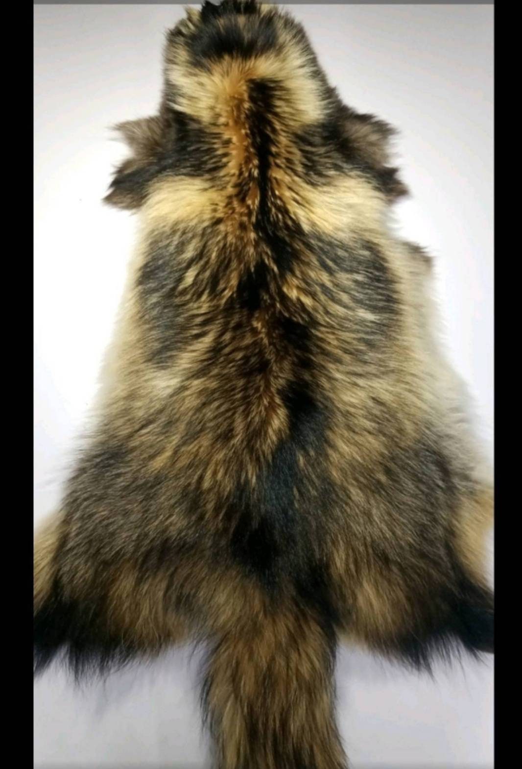 BY ORDER XL Large Full Finnish Real Raccoon Fur Collar, Fur Trim for Hoodie, Raccoon Fur Collar, Fur Scarf, Fur Ruff, Raccoon Fur Hood