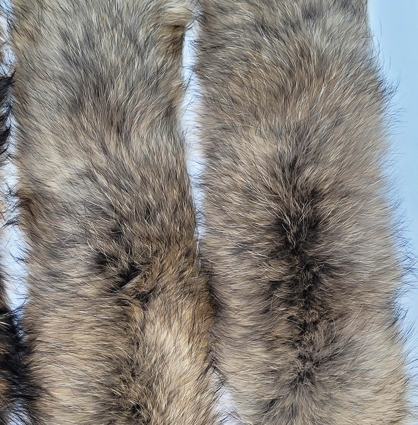 BY ORDER XL Large Full Finnish Real Raccoon Fur Collar, Fur Trim for Hoodie, Raccoon Fur Collar, Fur Scarf, Fur Ruff, Raccoon Fur Hood