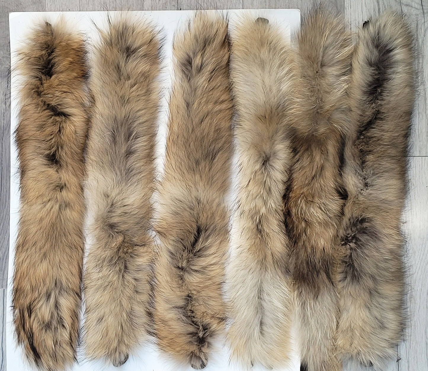 BY ORDER XXL Extra Large Finnish Raccoon Fur Collar, Fur Trim Hoodie, Raccoon Fur Collar, Fur Scarf, Fur Ruff, Raccoon Fur Hood, Raccoon Fur