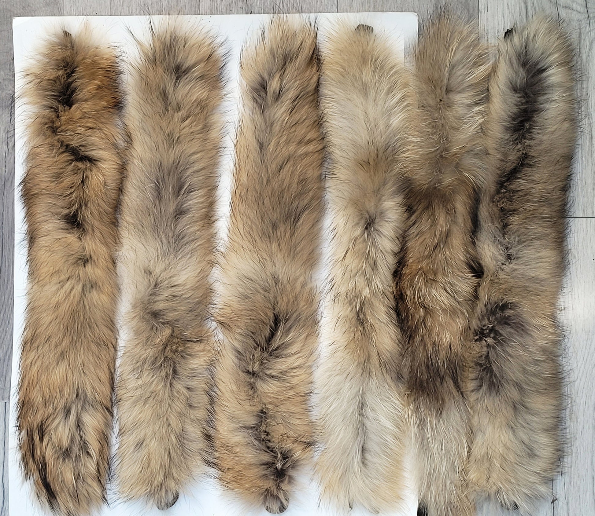 BY ORDER XXL Extra Large Finnish Raccoon Fur Collar, Fur Trim Hoodie, Raccoon Fur Collar, Fur Scarf, Fur Ruff, Raccoon Fur Hood, Raccoon Fur