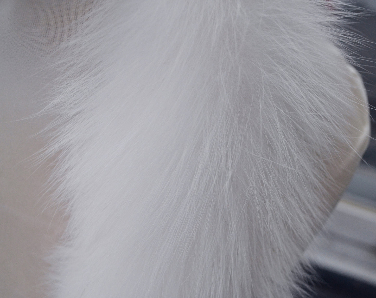 BY ORDER From Pieces! XL Large Full Finnish Real Fox Fur Collar, Fur Trim for Hoodie, Fox Fur Collar, Fur Scarf, Fur Ruff,  White Fox