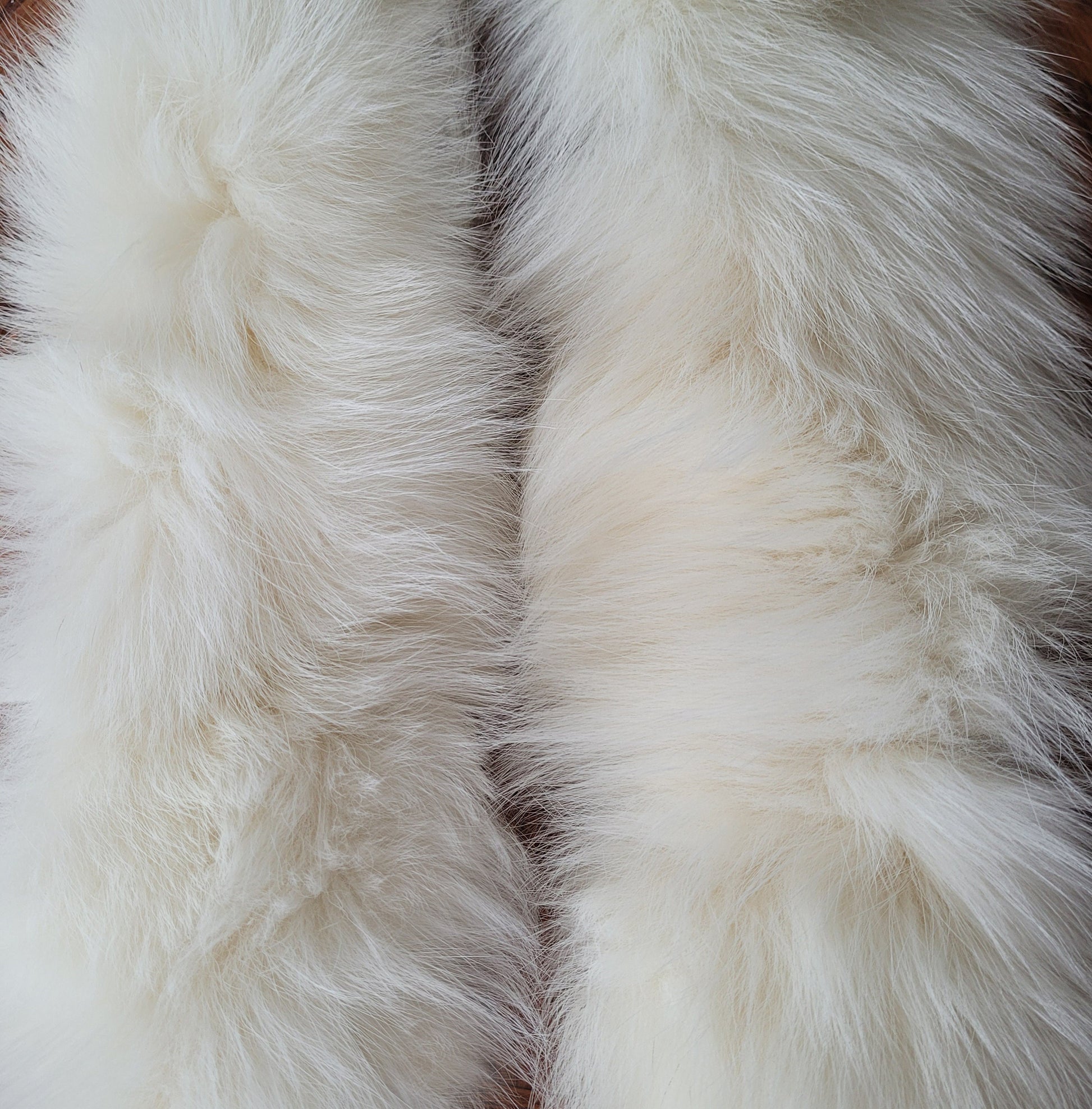 READY to SHIP From Pieces! XL Large Full Finnish Real Fox Fur Collar, Fur Trim for Hoodie, Fox Fur Collar, Fur Scarf, Fur Ruff, Ivory Fox