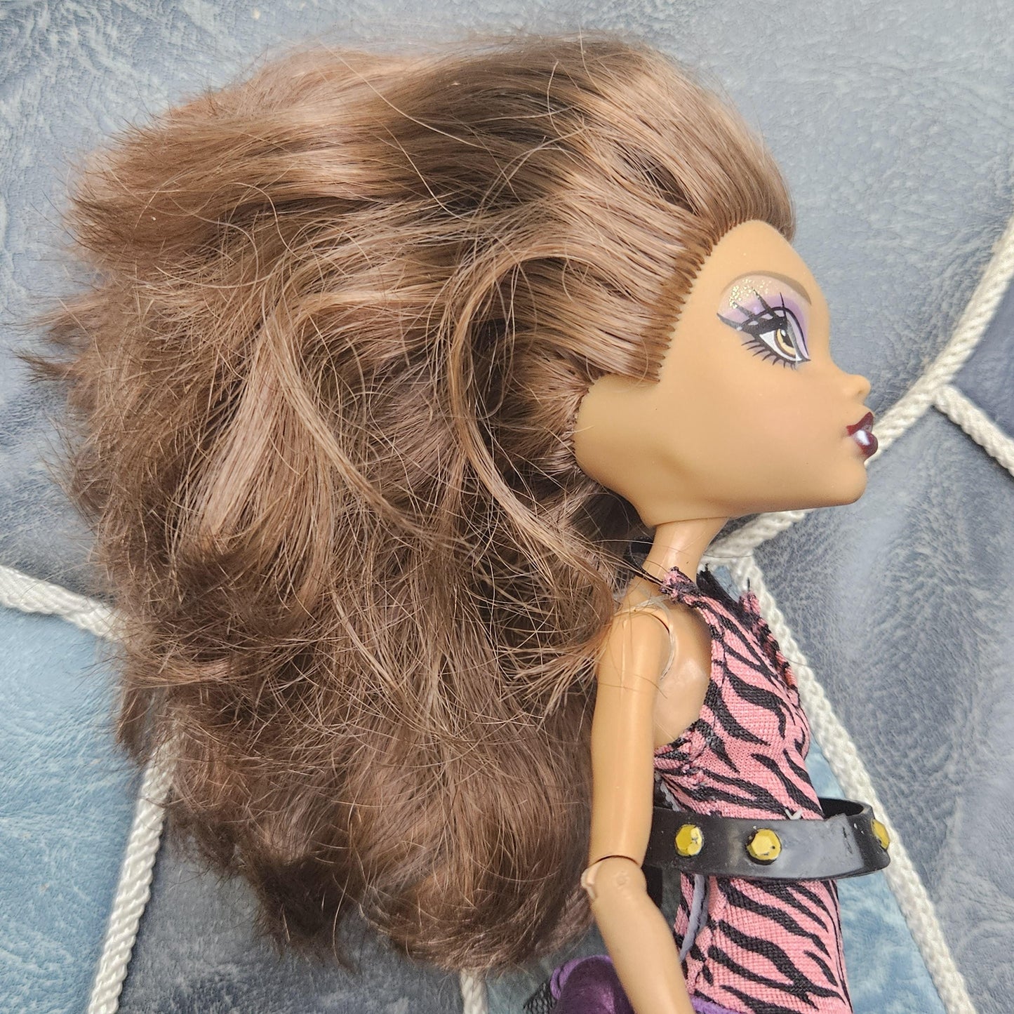Rare Monster High Doll: Clawdeen Wolf, Basic Line 2010, The First Wave, with Accessories, Original Used
