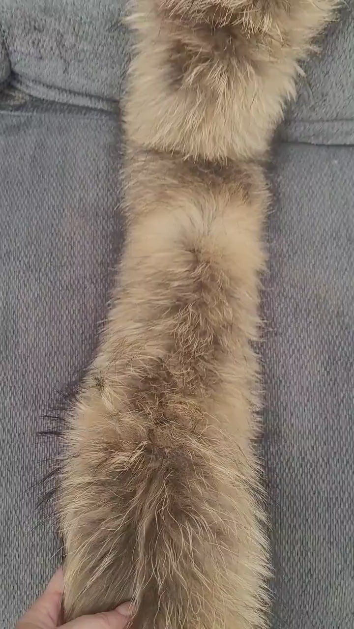 READY to SHIP, 83 cm Real Finnish Raccoon Fur Collar, Fur Trim for Hoodies, Raccoon Fur Collar, Fur Scarf, Fur Ruff, Raccoon Fur Hood, Real