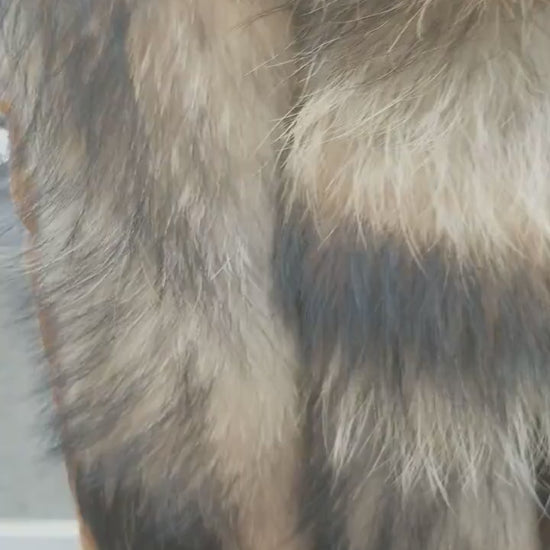 READY to SHIP XL Large Full Finnish Real Raccoon Fur Collar, Fur Trim for Hoodie, Raccoon Fur Collar, Fur Scarf, Fur Ruff, Raccoon Fur Hood