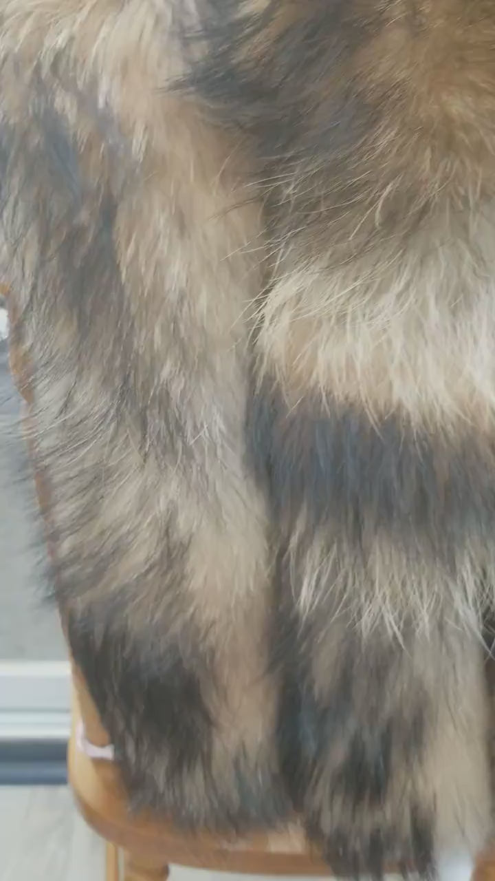 READY to SHIP XL Large Full Finnish Real Raccoon Fur Collar, Fur Trim for Hoodie, Raccoon Fur Collar, Fur Scarf, Fur Ruff, Raccoon Fur Hood