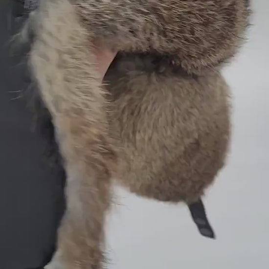 Man Real Fur hat, Aviator Hat, Rabbit Fur Hat, Fur Ear Flap Hat, Trapper Hat, Ushanka, Russian Hat, Ski Hat, Fur Hat Ear Flaps