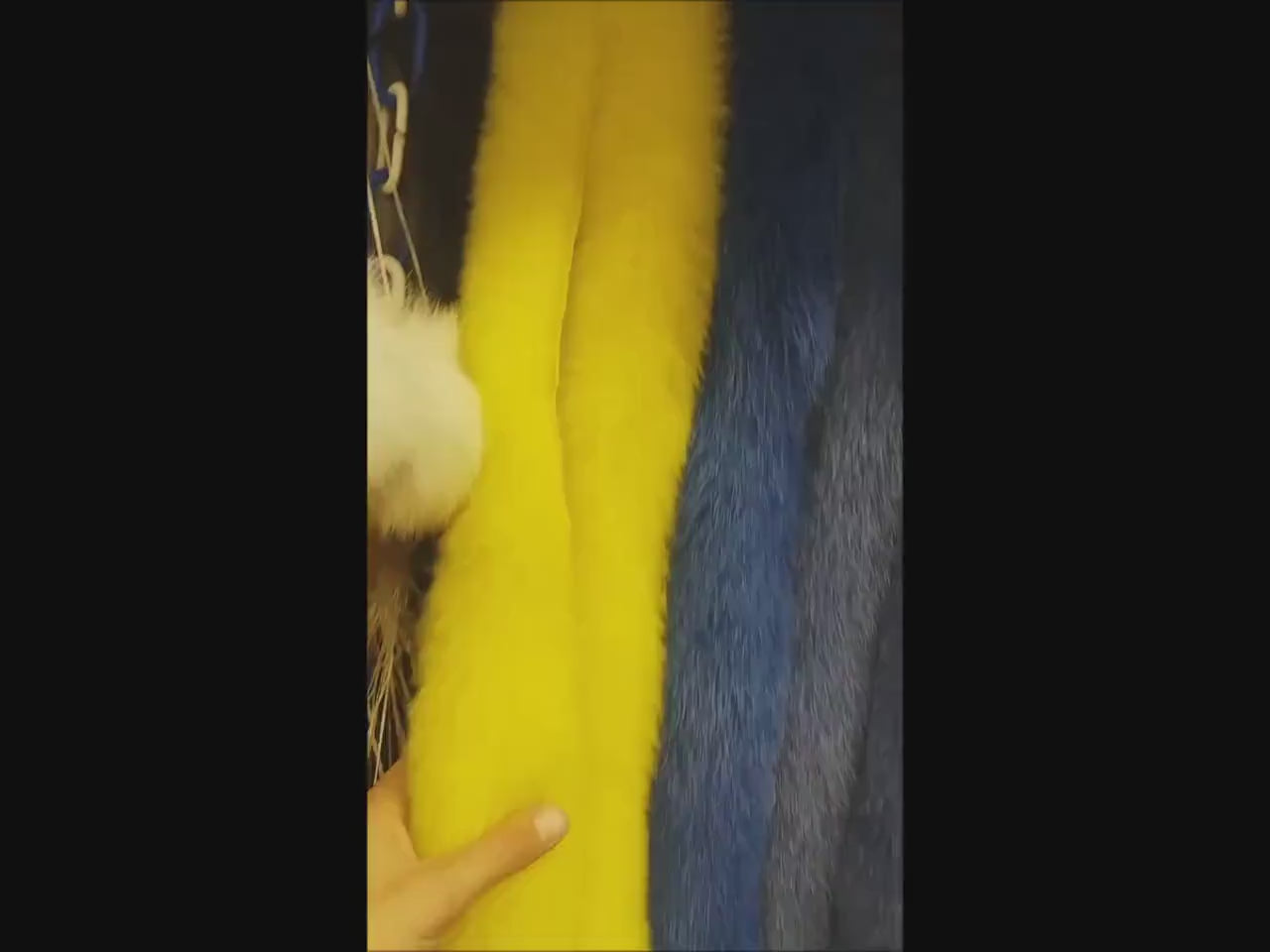 BY ORDER, 14-16 cm WIDTH Double Large Finnish Fox Fur Trim Hood, Fur collar trim, Fox Fur Collar, Fur Scarf, Fur Ruff, Fox Fur Hood, Fox Fur