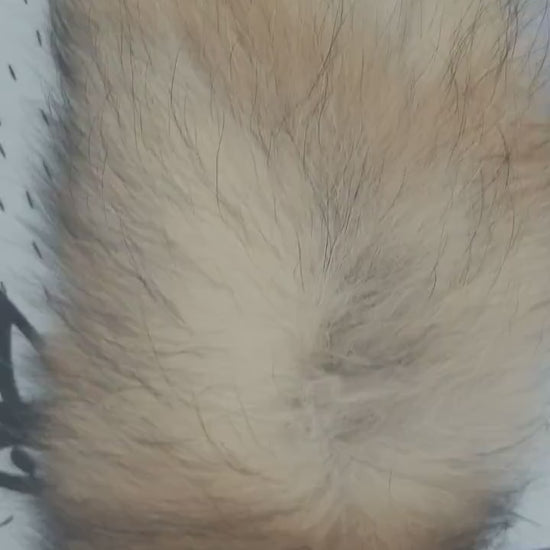 BY ORDER From Pieces! XL Large Full Finnish Real Raccoon Fur Collar, Fur Trim for Hoodie, Raccoon Fur Collar, Fur Scarf, Fur Ruff, Fur
