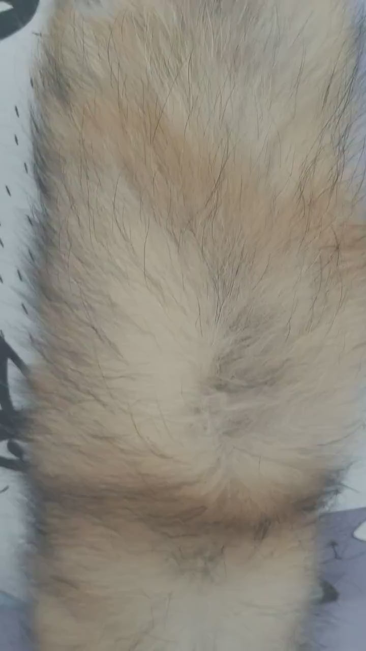 BY ORDER From Pieces! XL Large Full Finnish Real Raccoon Fur Collar, Fur Trim for Hoodie, Raccoon Fur Collar, Fur Scarf, Fur Ruff, Fur
