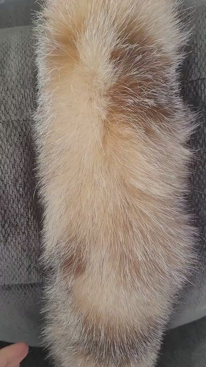 BY ORDER From Pieces! XL Large Full Finnish Real Fox Fur Collar, Fox Fur Collar, Fur Trim for Hoodie, Fur Scarf, Fur Ruff, Beige Fox