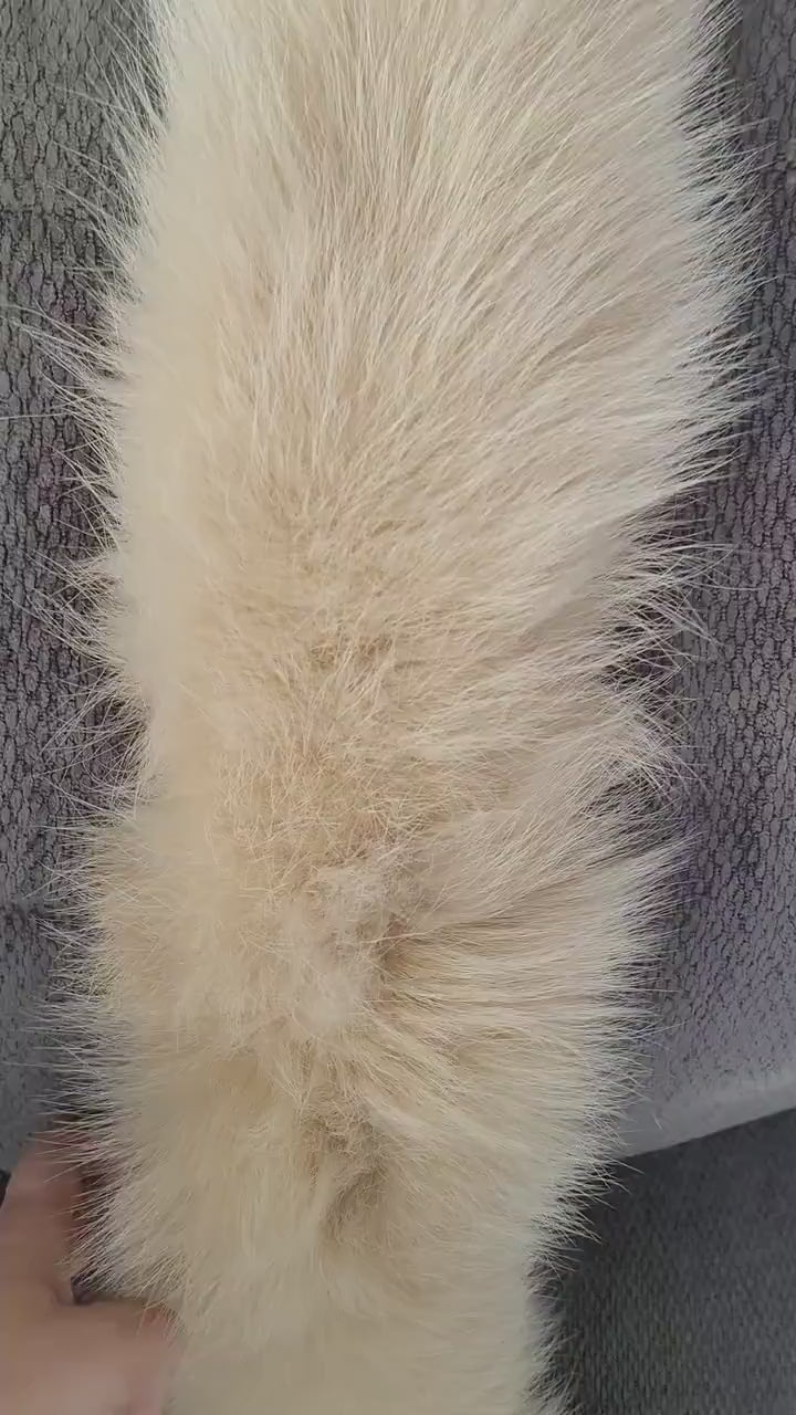 READY to SHIP From Pieces! XL Large Full Finnish Real Fox Fur Collar, Fox Fur Collar, Fur Trim for Hoodie,  Fur Scarf, Fur Ruff, Beige Fox