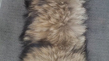 BY ORDER XXL Extra Large Finnish Raccoon Fur Collar, Fur Trim Hoodie, Raccoon Fur Collar, Fur Scarf, Fur Ruff, Raccoon Fur Hood, Super Large