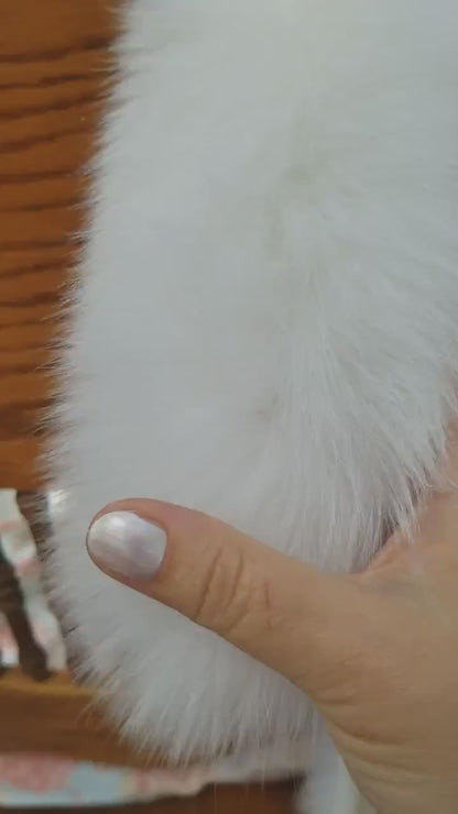 BY ORDER not Tail Real White Fox Fur Trim Hood, Fur collar trim, Fox Fur Collar, Fur Scarf, Fur Ruff, Fox Fur Hood, Fox Fur, Soft Trim