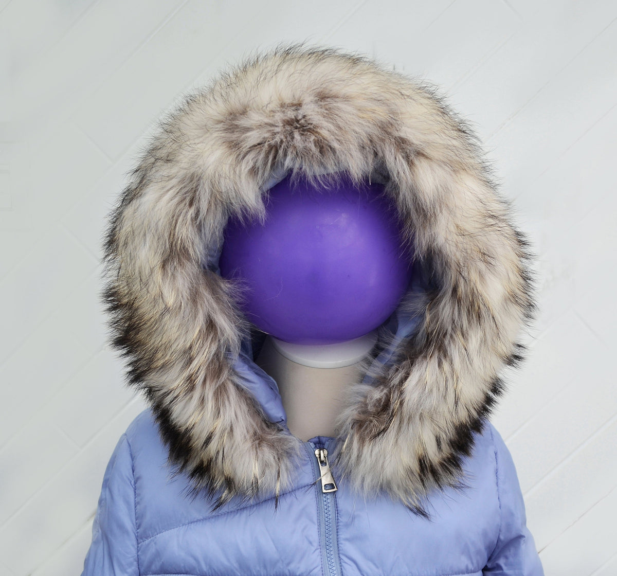 XL REAL RACCOON Dyed Fur Collar, Fur Trim for Hoodies, Raccoon Fur Collar, Fur Scarf, Fur Ruff, Raccoon Fur Hood, Raccoon Fur, Fur stripe