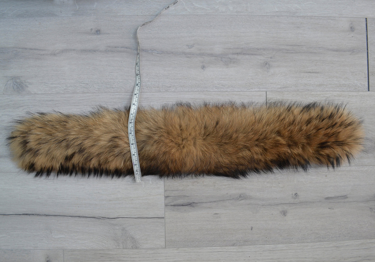XL Real Finnish Raccoon Fur Collar, Trim for Hood (SKIN), 18-20 cm (Width by Fur)