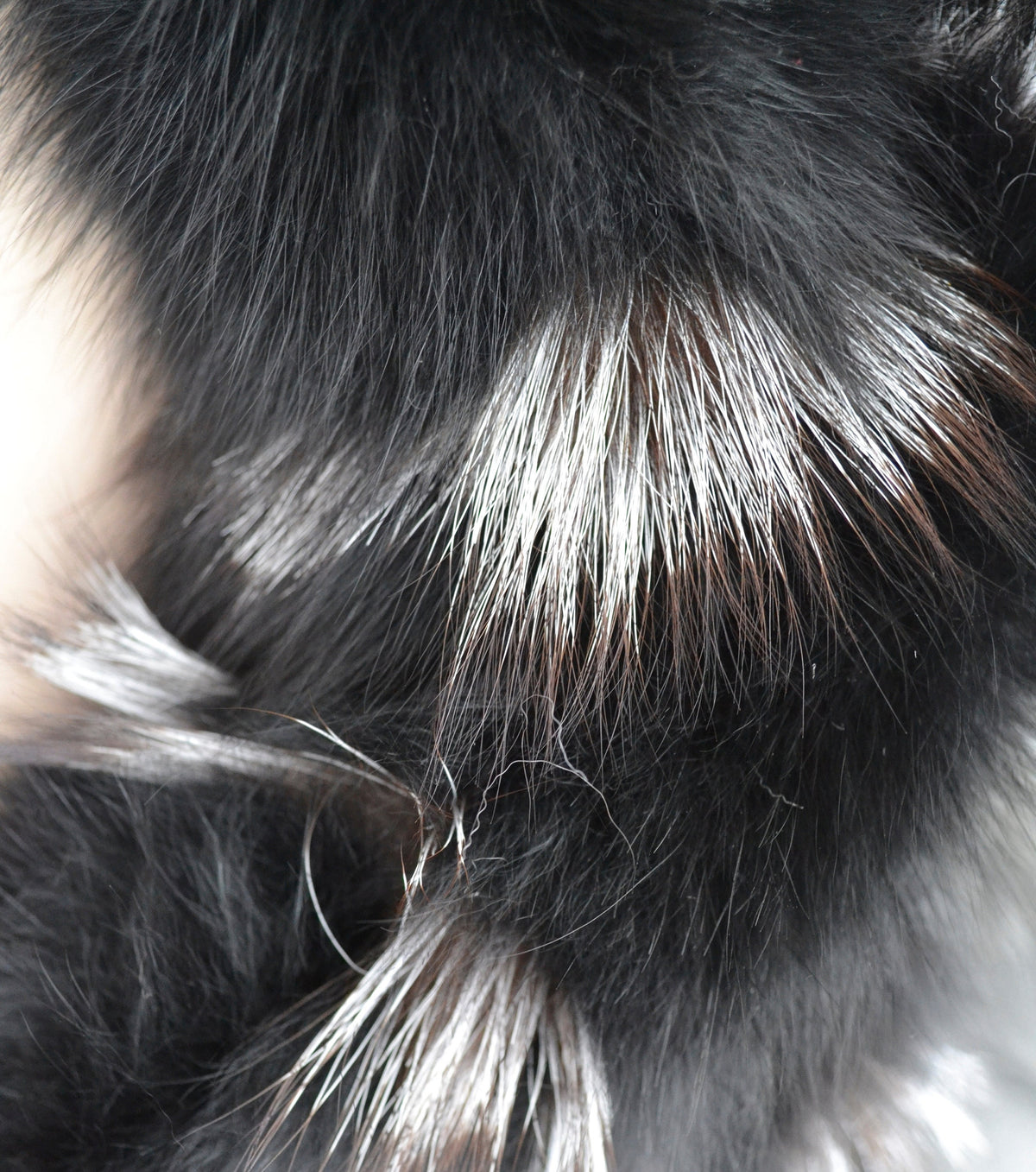 Black real fox fur scarf made from genuine fox pelt – view 7